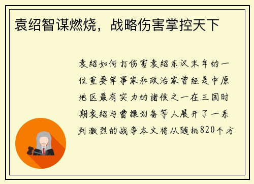 袁绍智谋燃烧，战略伤害掌控天下